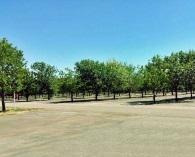 Imagen 6 de 22 de Galpón En Venta Cañuelas
