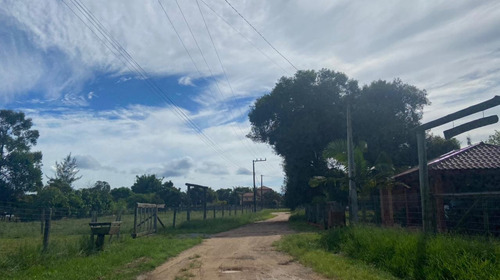 Terreno Para Venda Em Garopaba, Campo Duna - 986_2-1163957
