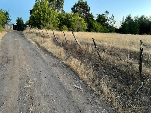 Invierte En Tierras: 3 Parcelas Bajo Valor De Mercado 2,22 H