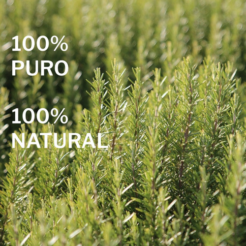 Aceite Esencial De Romero 100% Puro. Good Life
