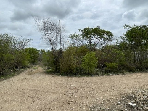 Terreno En Esquina En Venta Cholul