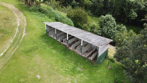 N.m. Finca En Venta En Capacho
