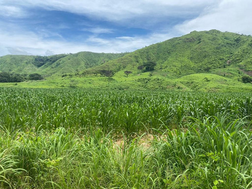 Oportunidad De Inversión En Chiapas: Rancho De 10 Hectáreas Con Documentación Al Día Y Plusvalía En Crecimiento