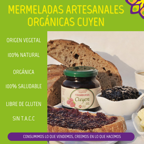 Mermelada Artesanal Orgánica Cuyen De Cassis X 225g