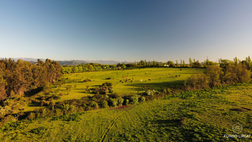 Sitio En Sector Santa Isabel Comuna San Clemente