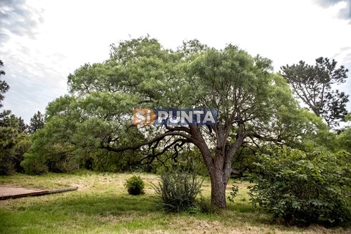 Casa En Punta Del Este, Golf