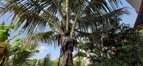 Imagem 26 de 29 de Sítio À Venda, 1056 M² Por R$ 750.000,00 - Vivendas Santa Mônica - Igarapé/mg - Si0028