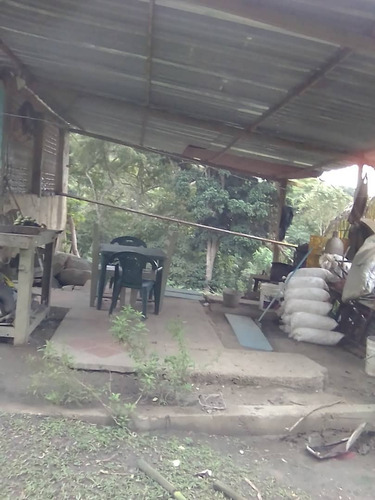 Imagen 5 de 11 de Amplia Y Funcional Finca De 14 Hectáreas En Bejuma - Inmobiliaria Maggi Cod. 866