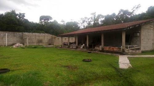 Chácara Com 7 Mil Metros E Campo De Futebol Em Itanhaém Sp