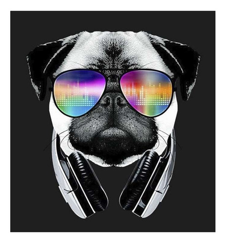 Vinilo 30x30cm Animales Perro Pug Dj Anteojos Musica