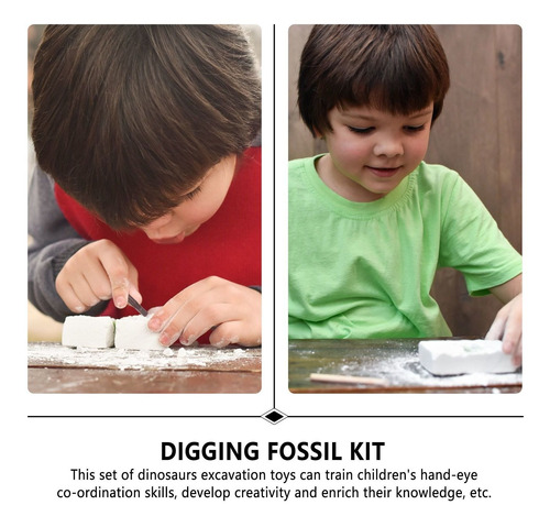 1 Set Niños Arqueología Descubrimiento Kit De Excavación Tri 