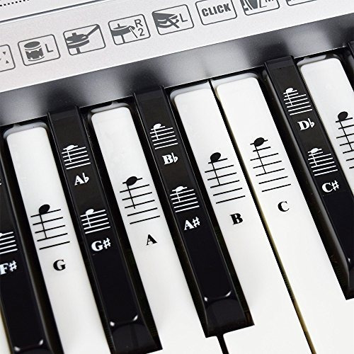 Notas De Musica Para Piano Y Teclado Juego Completo De Pegat