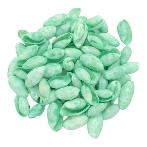 Imagen 3 de 10 de Caracolas Y Conchas Marinas Para Velas De Gel - 12 Piezas