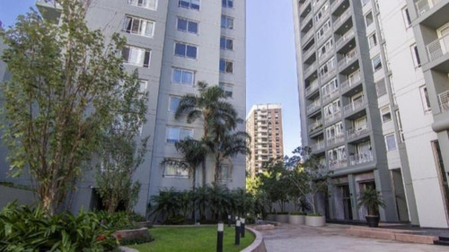 Imagen 6 de 16 de Departamento - Botanico