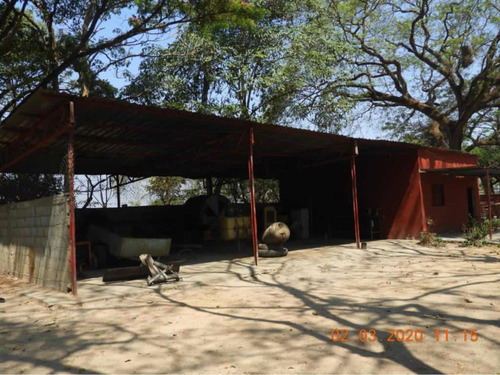 Imagen 5 de 19 de En Venta Finca De 50 Hectáreas, Ubicada En El Estado Ciojede