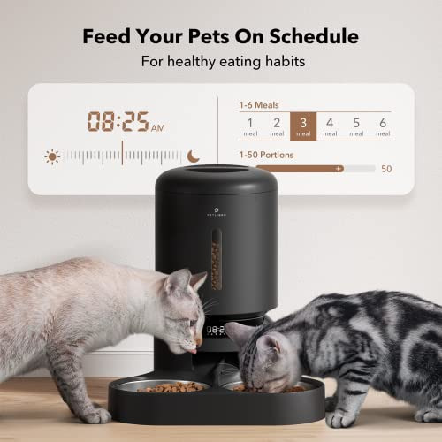 Alimentador Automático Dos Gatos, Dispensador De Comid...
