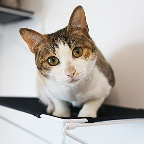 Imagen 1 de 5 de Raycc Gato Estantes Gato Pasos Gato Percha De Ropa Gato Nube