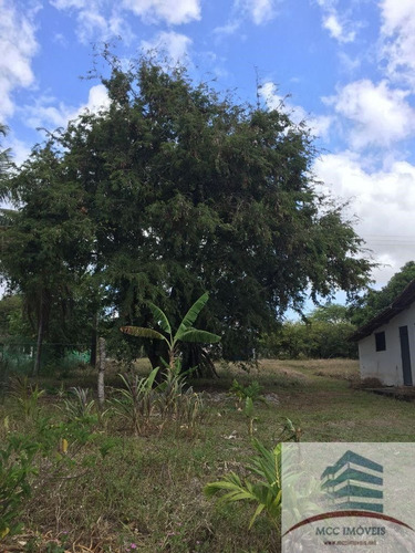 Imagem 3 de 4 de Granja A Beira Da Lagoa Azul Em Pium, Nísia Floresta