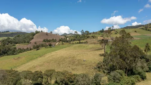 Casa Campestre En Venta En La Calera. Cod V7230