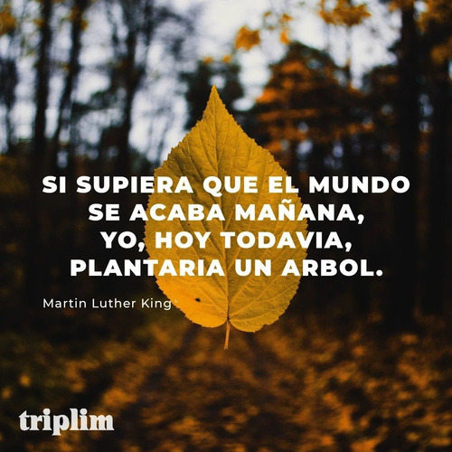 Imagen 4 de 6 de Pizarra Notebook Computadora Infantil Madera Didáctica Tizas