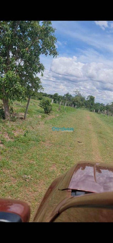 Imagem 14 de 15 de Fazenda A Venda - Área Rural - Fa0236