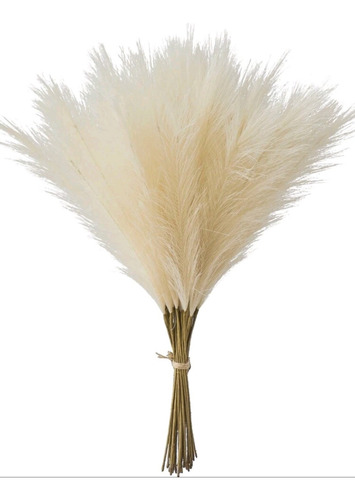 Pampas Secas Decorativas Artificiales 20 Piezas Beige