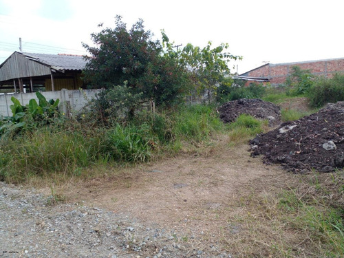 Imagem 4 de 10 de Terreno Para Venda Em Piraquara, Parque Das Araucárias - 3375_1-2413913