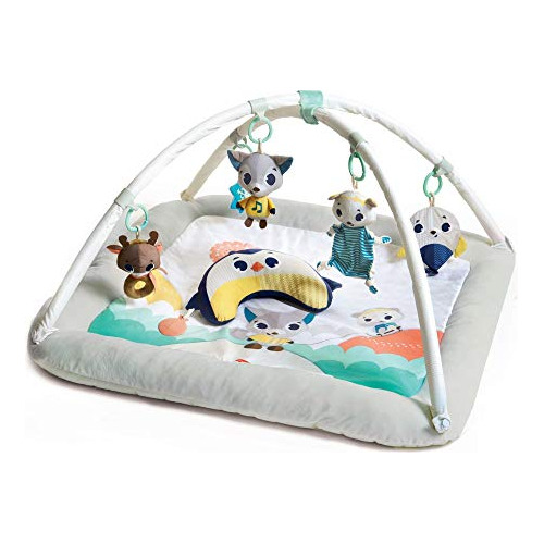 Gymini Deluxe Infant Activity Gym Play Mat, Tiny Prince...