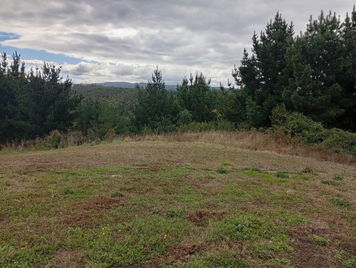 Terreno Ubicado A 6 Km De La Union, Sector Cudico