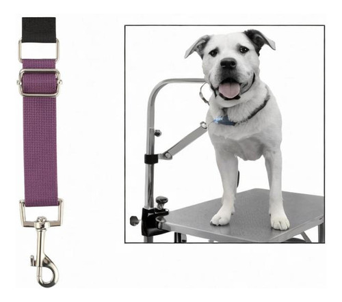Pets Bucos De Aseo Extensión Correa Groomer Púrpura