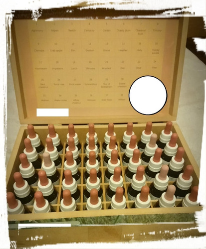 Manual Flores De Bach + Kit + 10 Frascos Colirio 30cc -3c