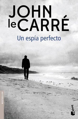 Un Espía Perfecto - John Le Carre