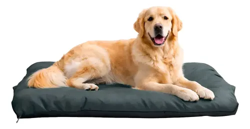 Colchonete pet impermeável retangular