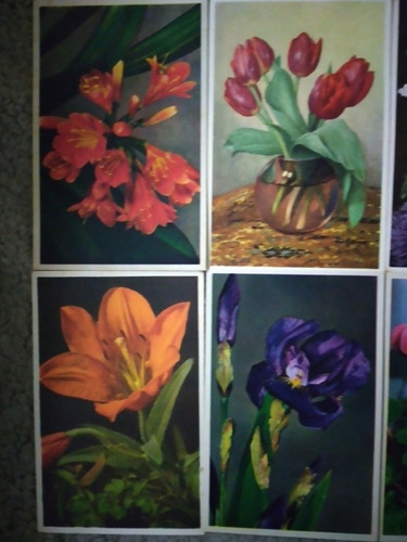 Antiguas Postales Florales Impresas En Italia Son 8