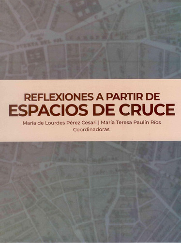 Reflexiones A Partir De Espacios De Cruce, De María De Lourdes Pérez Cesari, María Teresa Paulín Ríos (coordinadoras). Editorial Mexico-silu, Tapa Blanda, Edición 2019 En Español