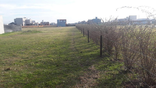 Imagen 1 de 5 de Terreno - Funes