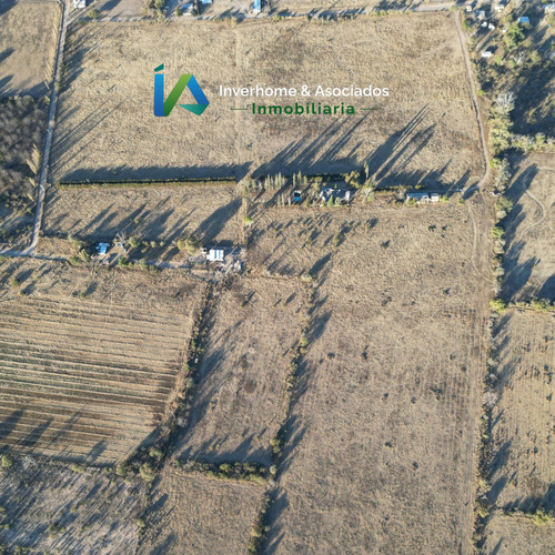 Campo En San Pedro