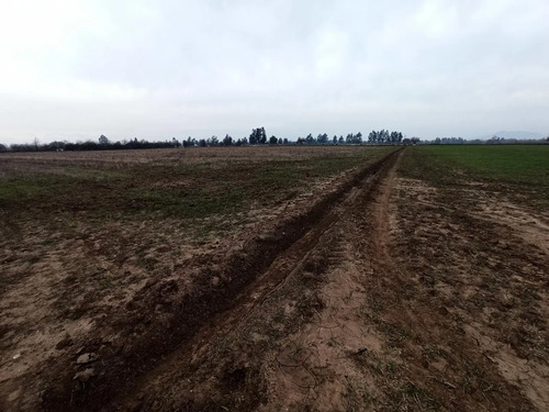 Terreno Agrícola En Venta, Campo De 16,4 Ha, San Clemente