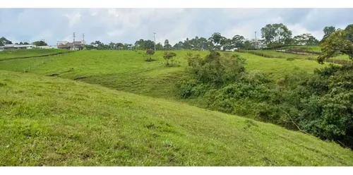 Venta Finca - Lote En Circasia - 6.2 Cuadras