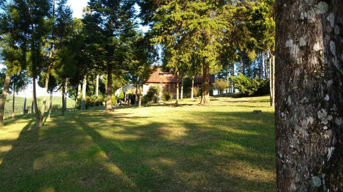 Imagem 3 de 5 de Fazenda Para Lavoura, Pecuária E Lazer, Em Gramado - Rs
