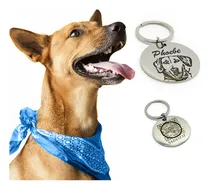 Comprar Placa Medalha Identificação Animal Qr Code Localização+dados