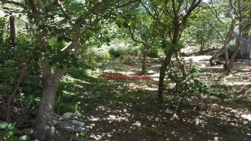Terreno En Venta En Mar De Ostende. Zona Residencial Unifamiliar.