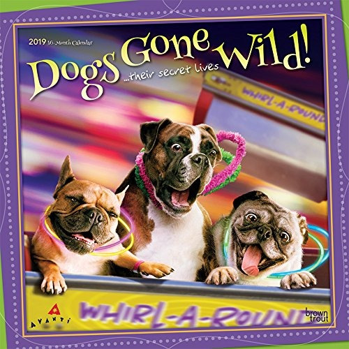 Avanti Dogs Gone Wild 2019 12 X 12 Inch Monthly Square Wall 