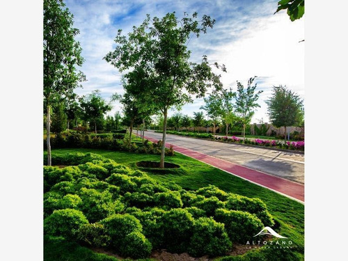 Imagen 6 de 7 de Terreno En Venta En Altozano Nueva Laguna