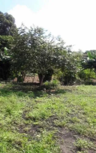 Terreno De 2.000m2 Próximo Ao Aeroporto De Cumbica