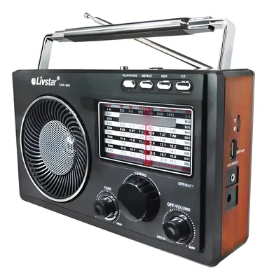 Radio Para Zona Rural 11 Faixas  Pen Drive Recarregavel Preto 127/220v