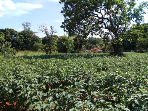 Imagem 6 de 15 de Terreno Para Venda Em Caetanópolis, Caetanópolis, 4 Dormitórios, 1 Suíte, 1 Banheiro - T13_1-2330304