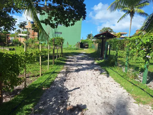 Terreno Morro De São Paulo Bahia