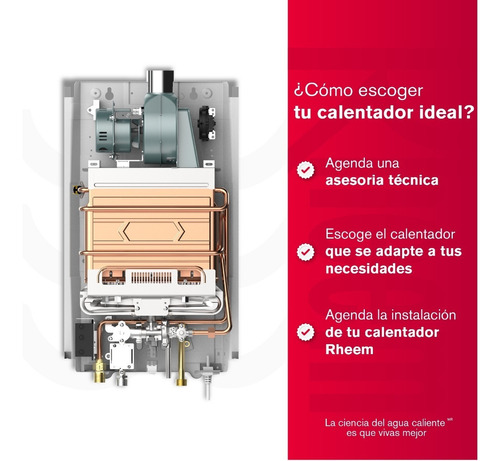 Calentador De Agua 10lt Rheem Gas Natural Tiro Forzado