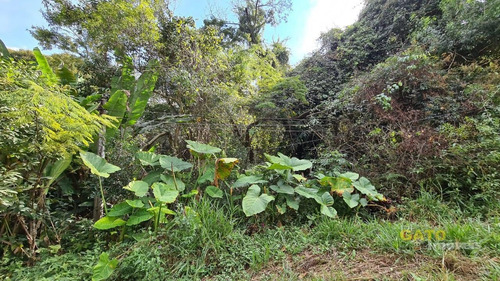 Imagem 4 de 15 de Chácara Para Venda Em Cajamar, Ponunduva, 3 Dormitórios, 1 Suíte, 2 Banheiros, 3 Vagas - 19895_1-1461726